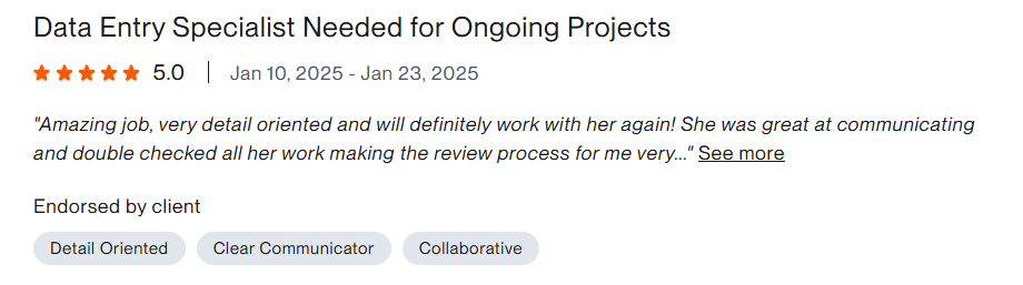 Upwork testimonial 8